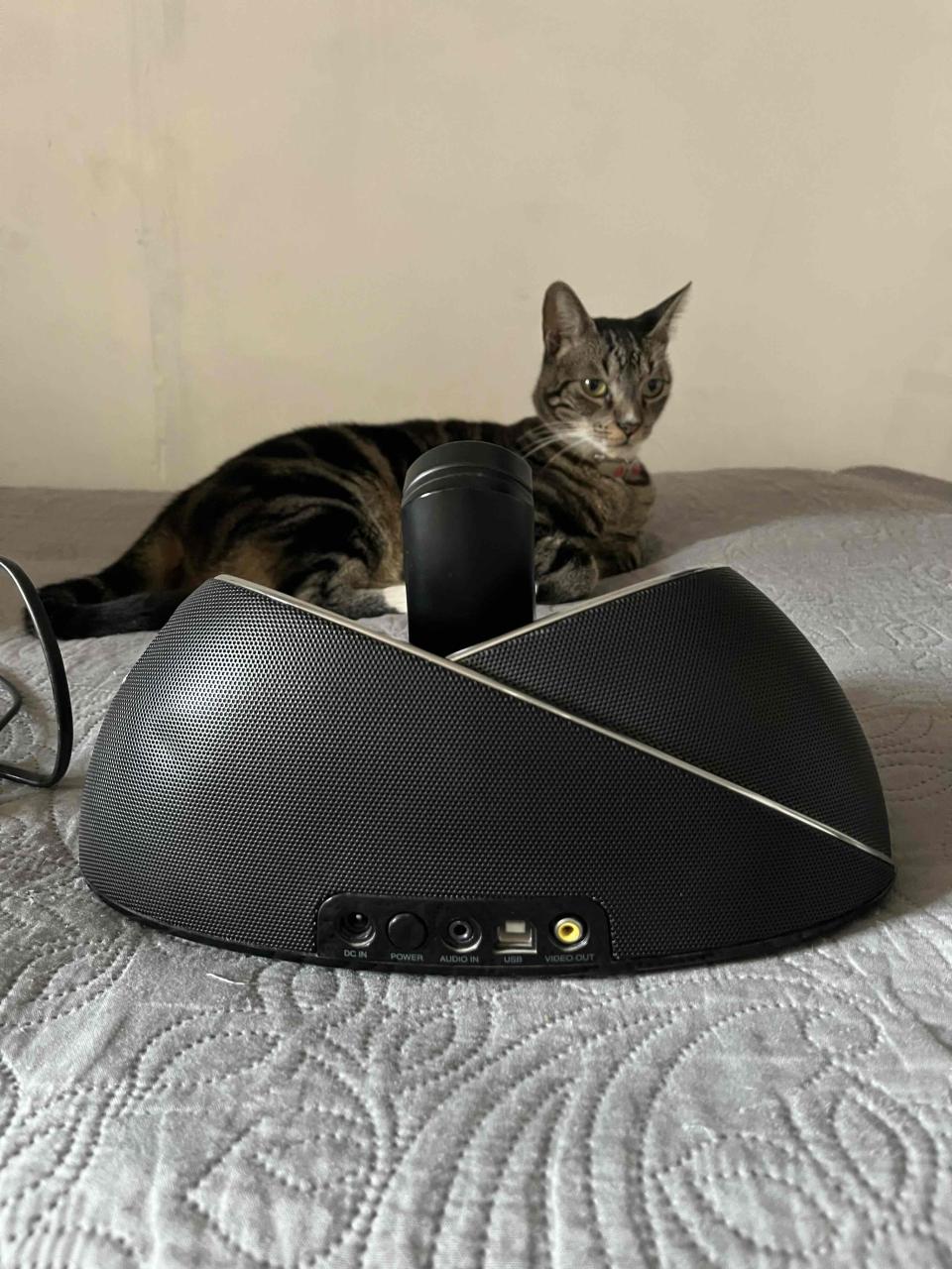 Dock de sonido JBL negro - miniatura 2