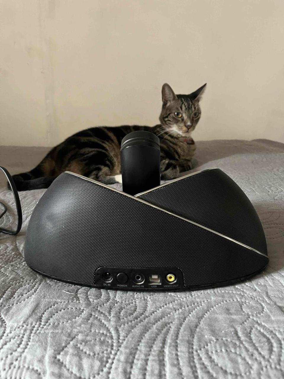 Dock de sonido JBL negro - miniatura 3