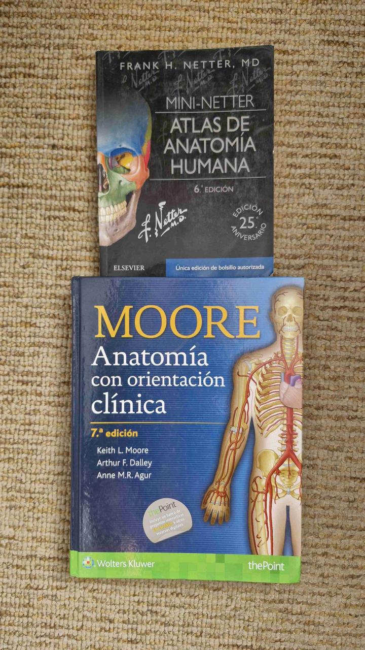 Moore y Netter