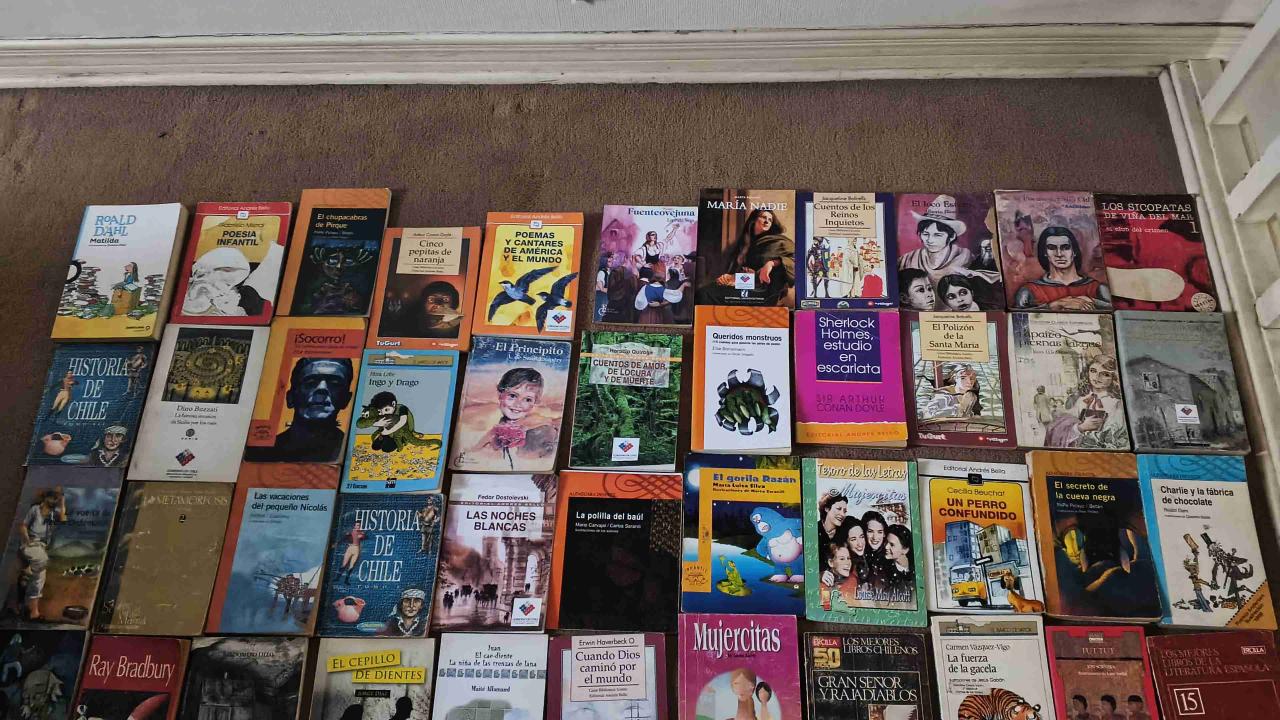 Colección de libros variados - miniatura 2