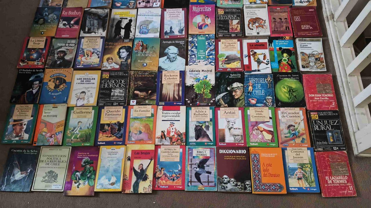 Colección de libros variados - miniatura 3