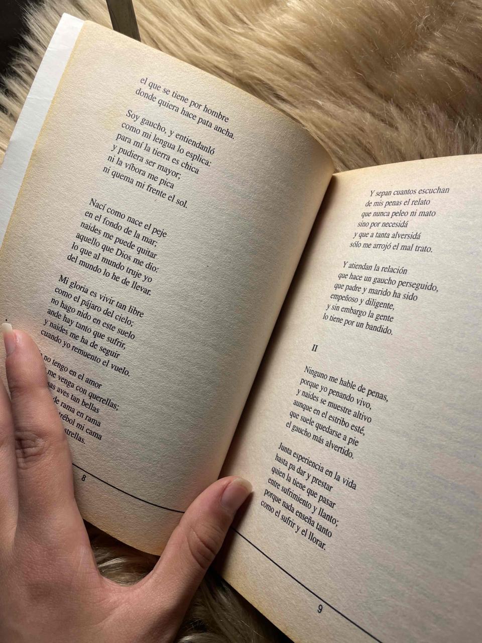 Libro Martín Fierro - miniatura 2