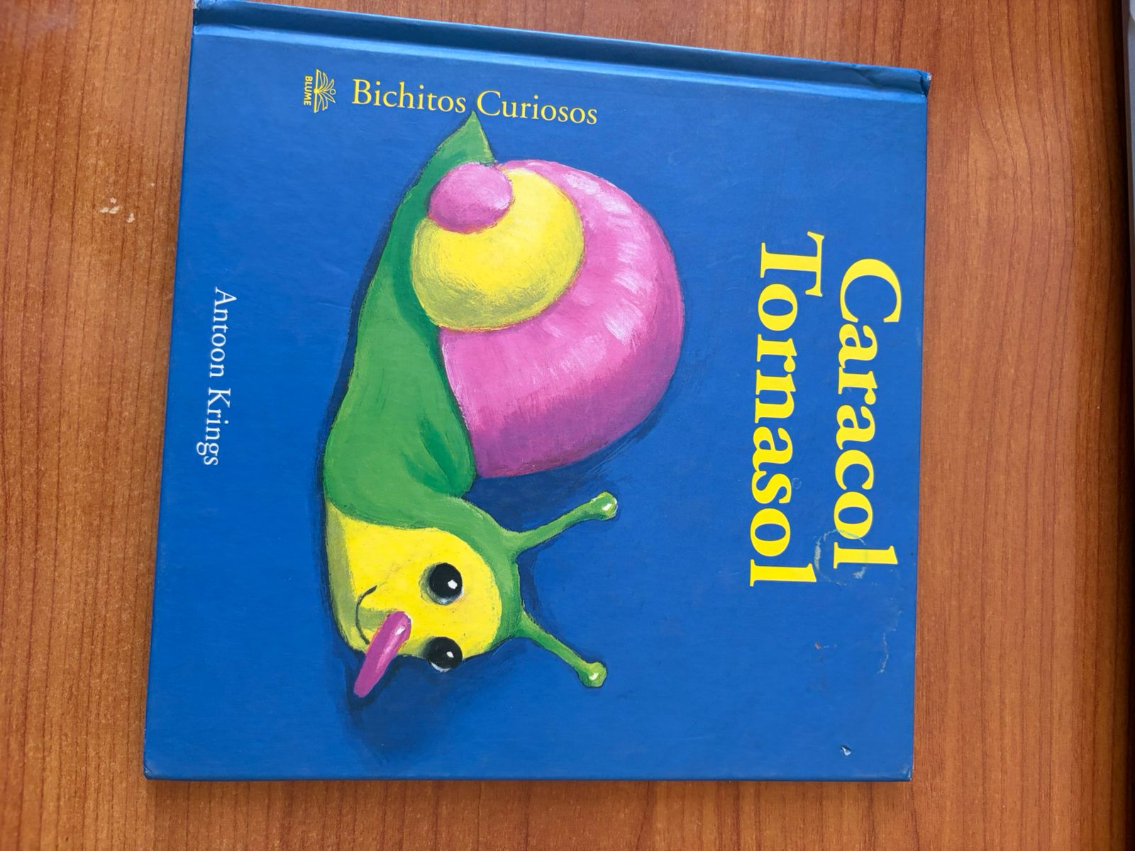 Libro Caracol Tornasol infantil - miniatura 1