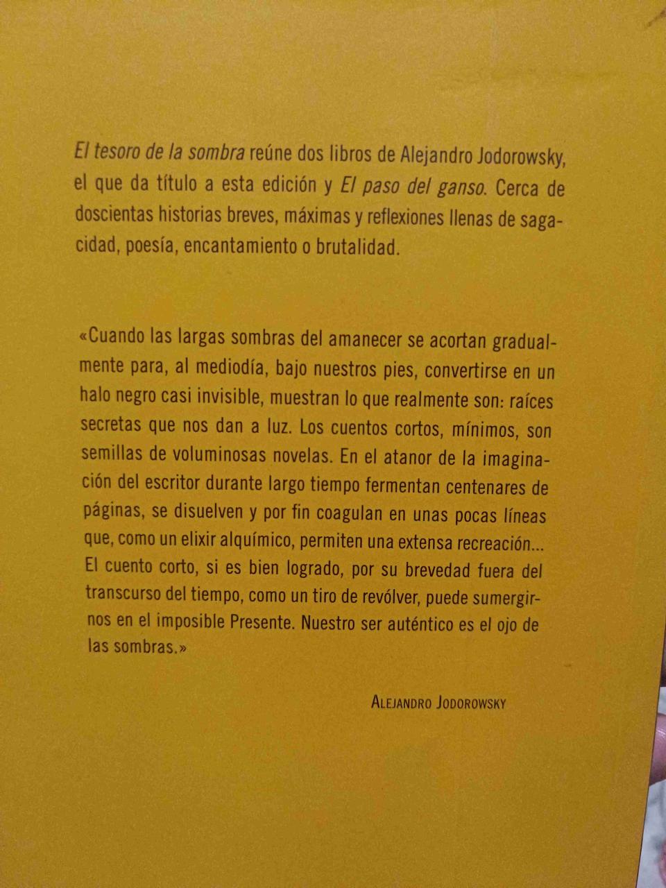 Libro El tesoro de la sombra - miniatura 2