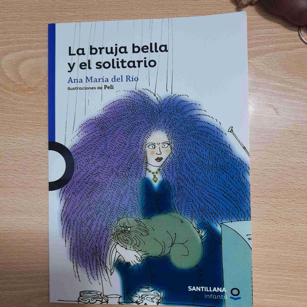 Libro La bruja bella y el solitario
