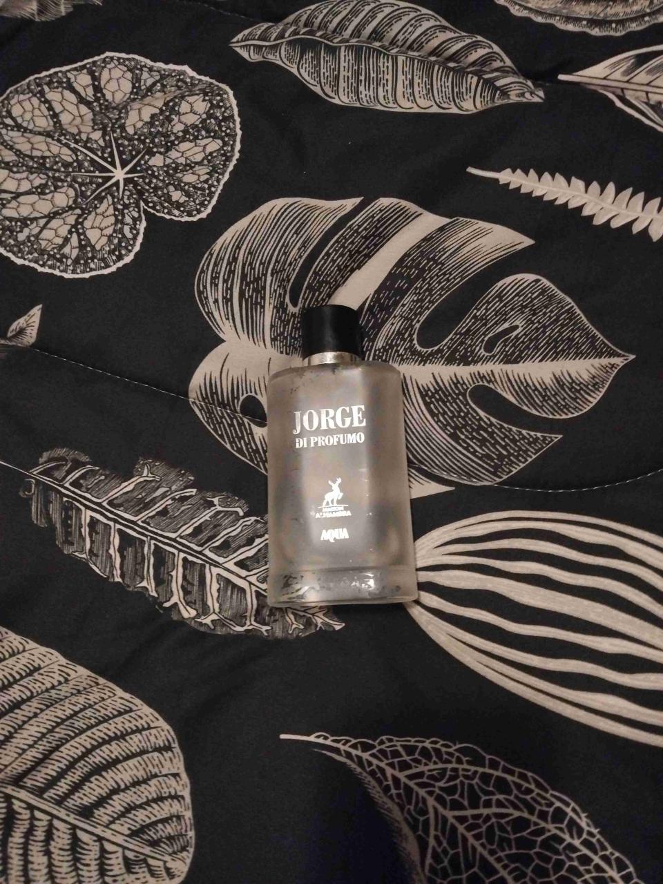 Perfume Jorge Di Profumo Aqua copia