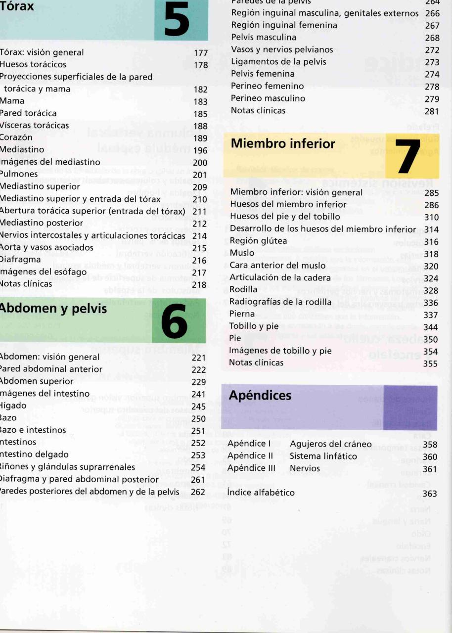 Gran Atlas McMinn Anatomía Humana - miniatura 3