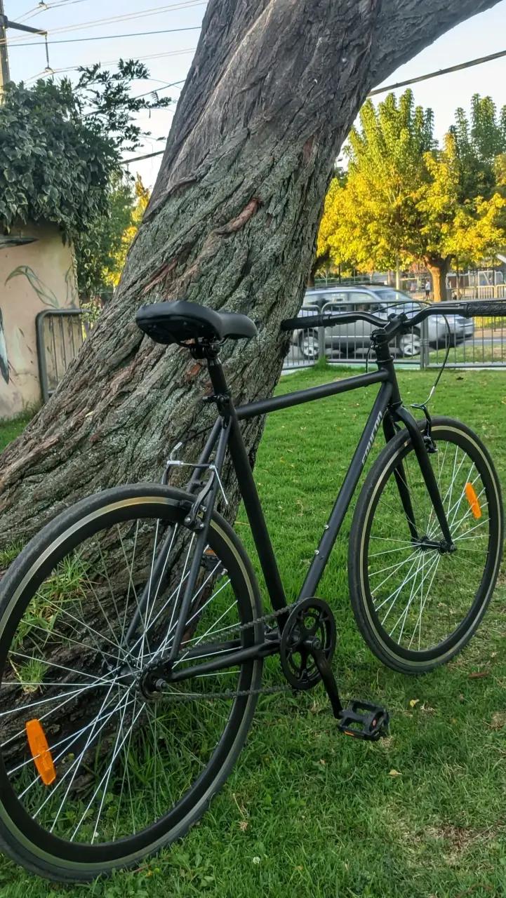 Bicicleta Urbana - miniatura 2
