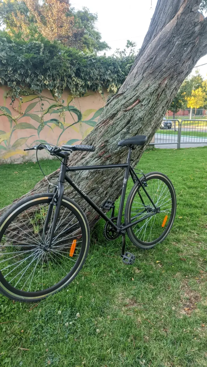 Bicicleta Urbana - miniatura 3