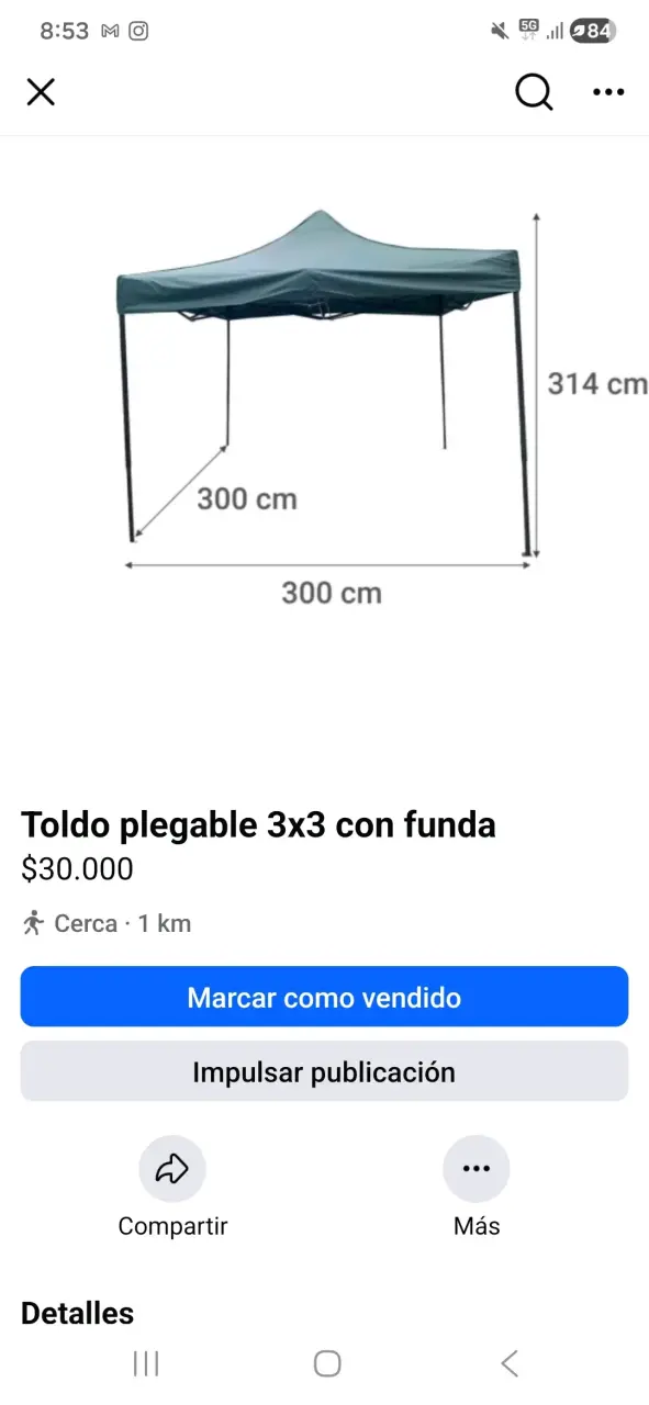 Corpóreo de capibara inflable - miniatura 2
