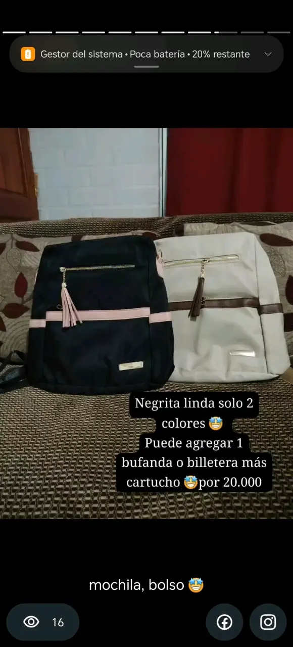 Mochila en dos colores