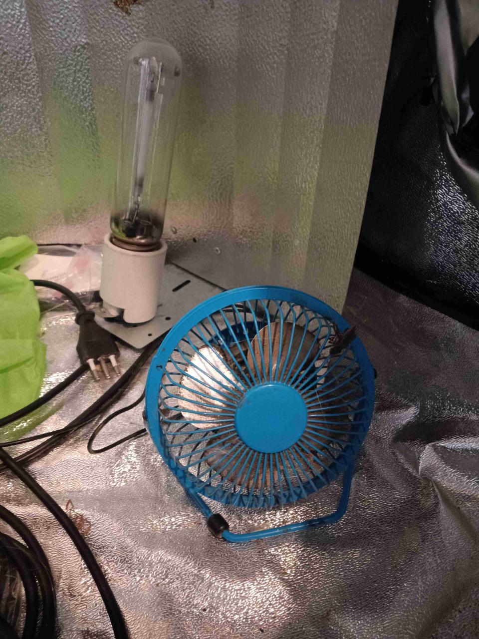 Kit Carpa Darkbox para cultivo interior - miniatura 6