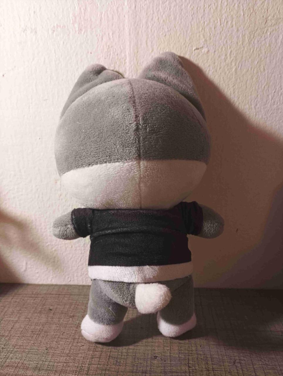 Peluches de Stray Kids - miniatura 5