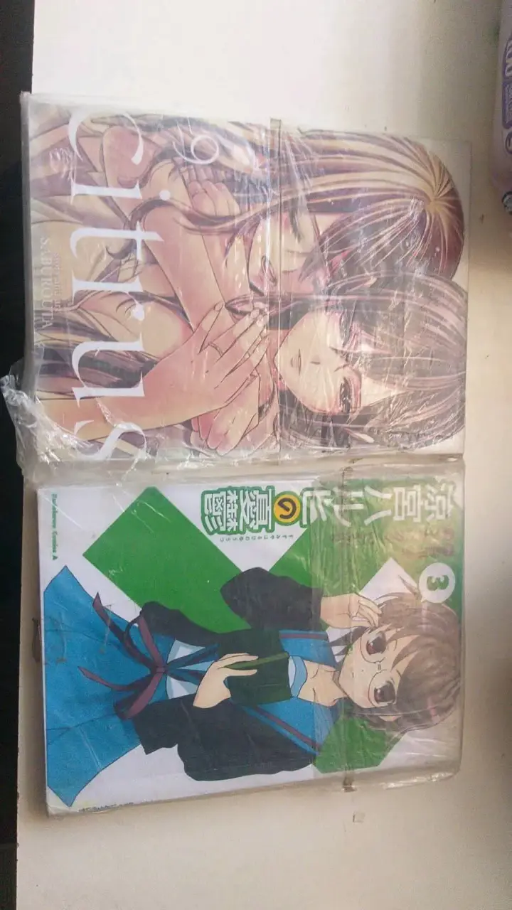 Pack de 2  mangas variados