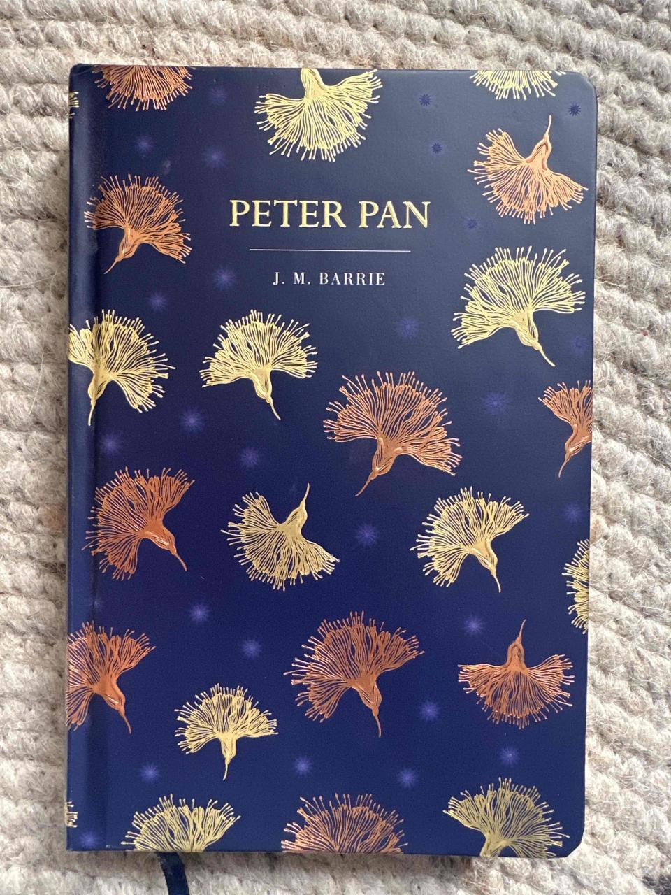 Libro Peter Pan cubierta azul - miniatura 1