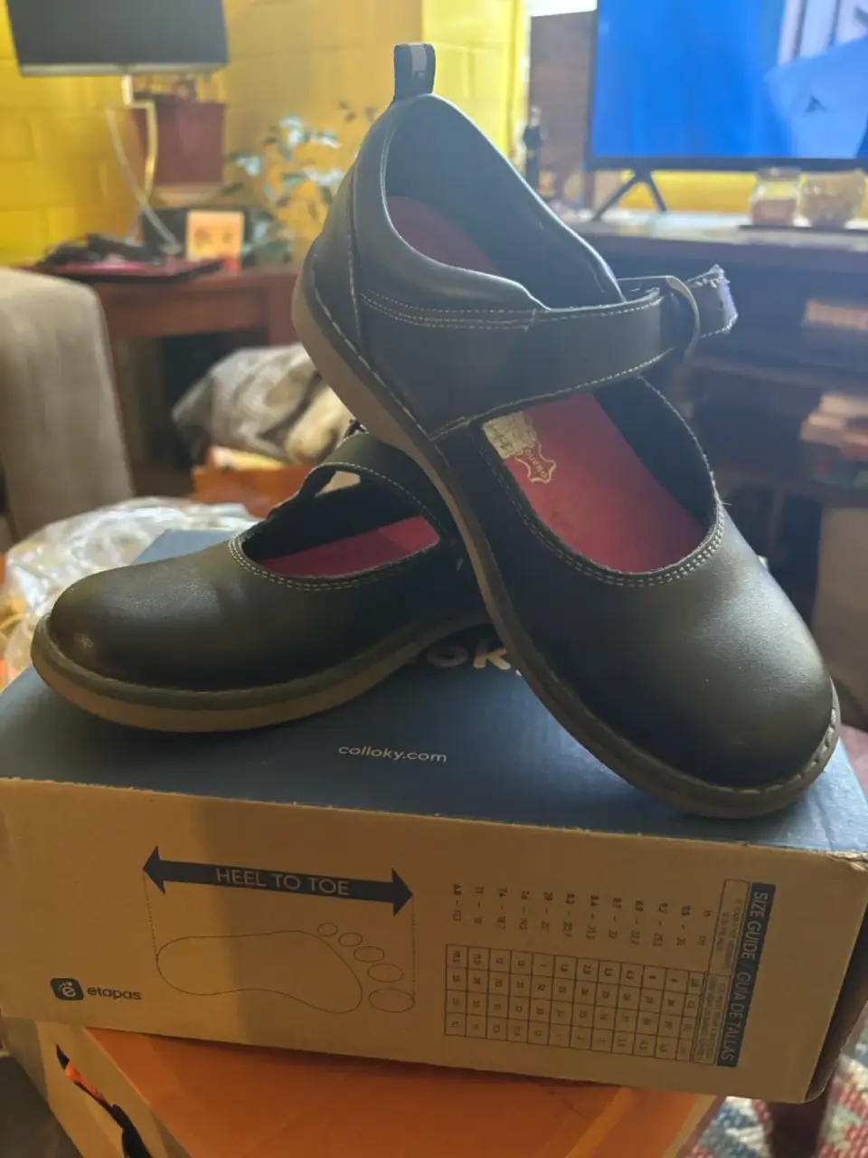 Zapatos tipo ballerina de colegio - miniatura 1
