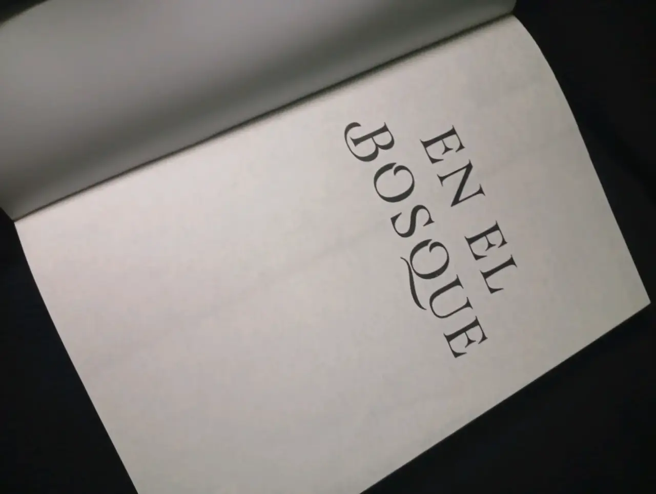 Libro 'En el Bosque' por Alyssa Wees - miniatura 3