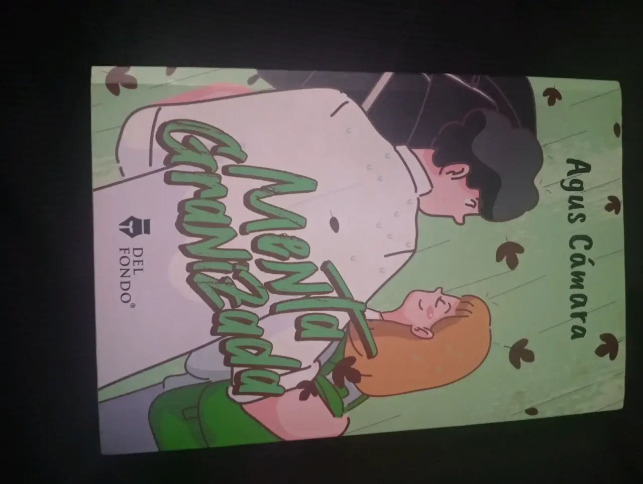 Libro Menta Granizada - miniatura 1