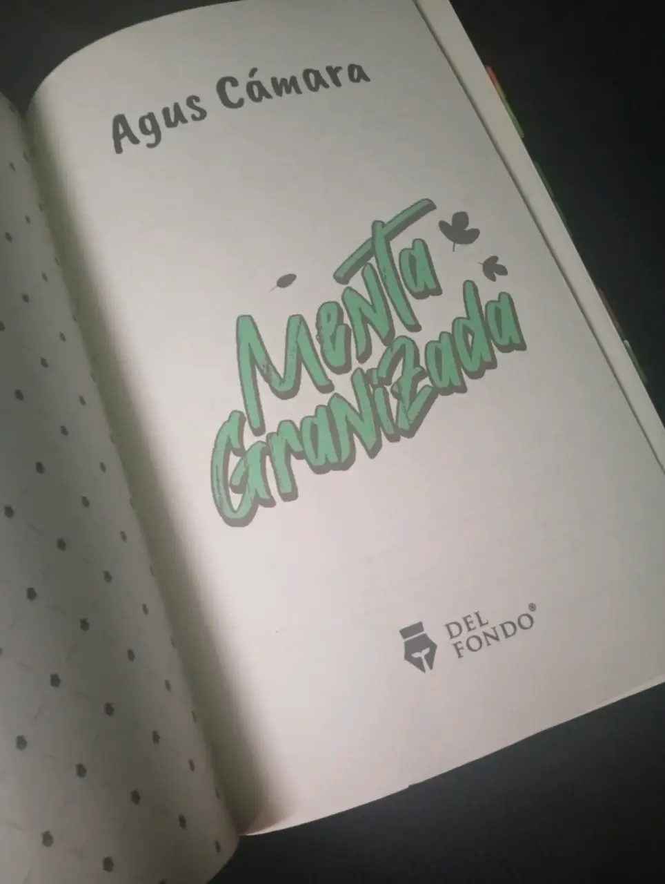 Libro Menta Granizada - miniatura 3