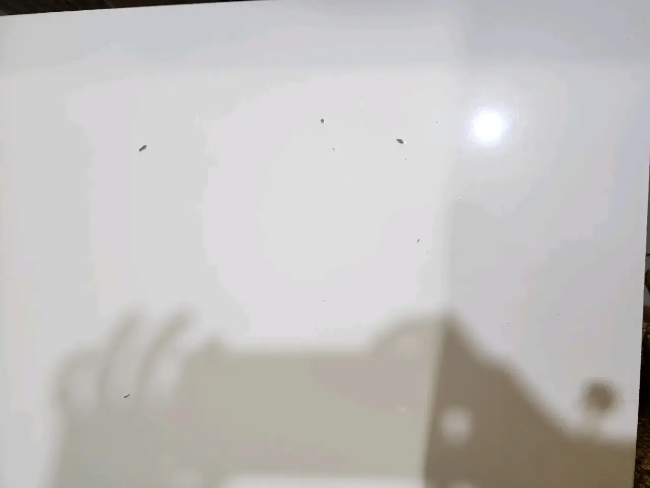 Juego de comedor con sillas - miniatura 5