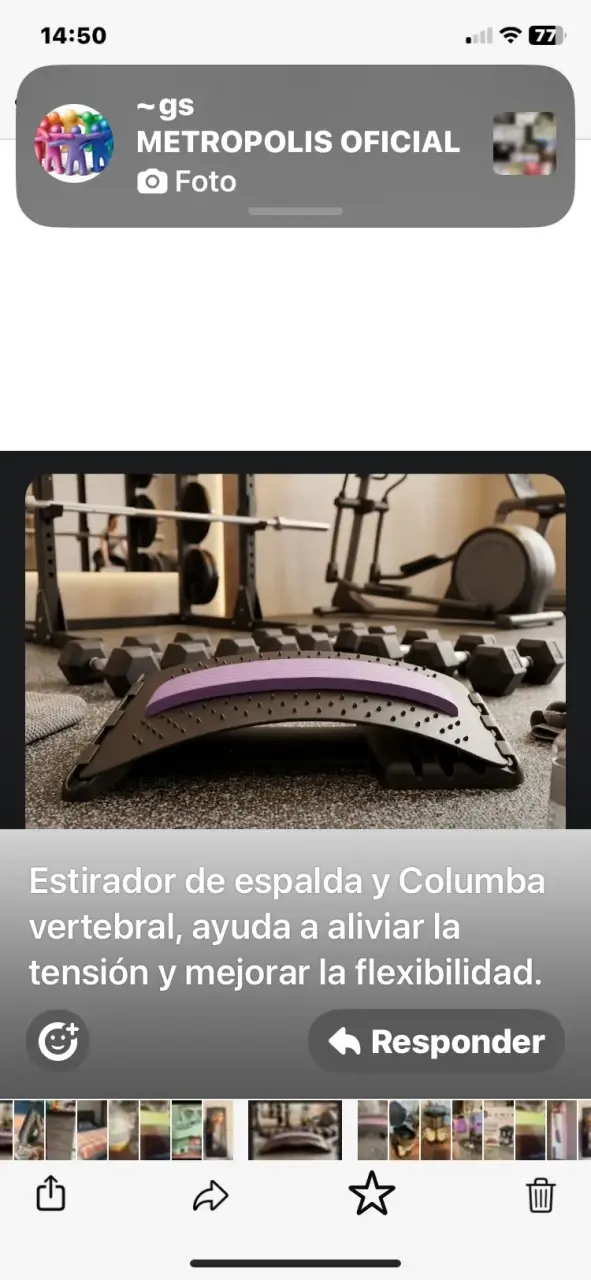 Estirador de espalda y columna