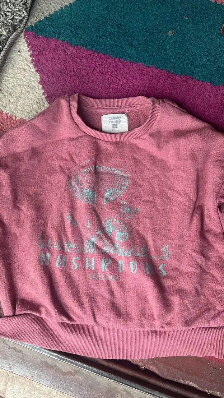Lote ropa niña talla 4 - miniatura 6