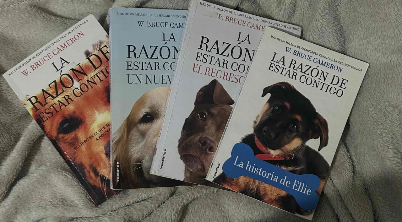 Colección libros 'La razón de estar contigo' - miniatura 1