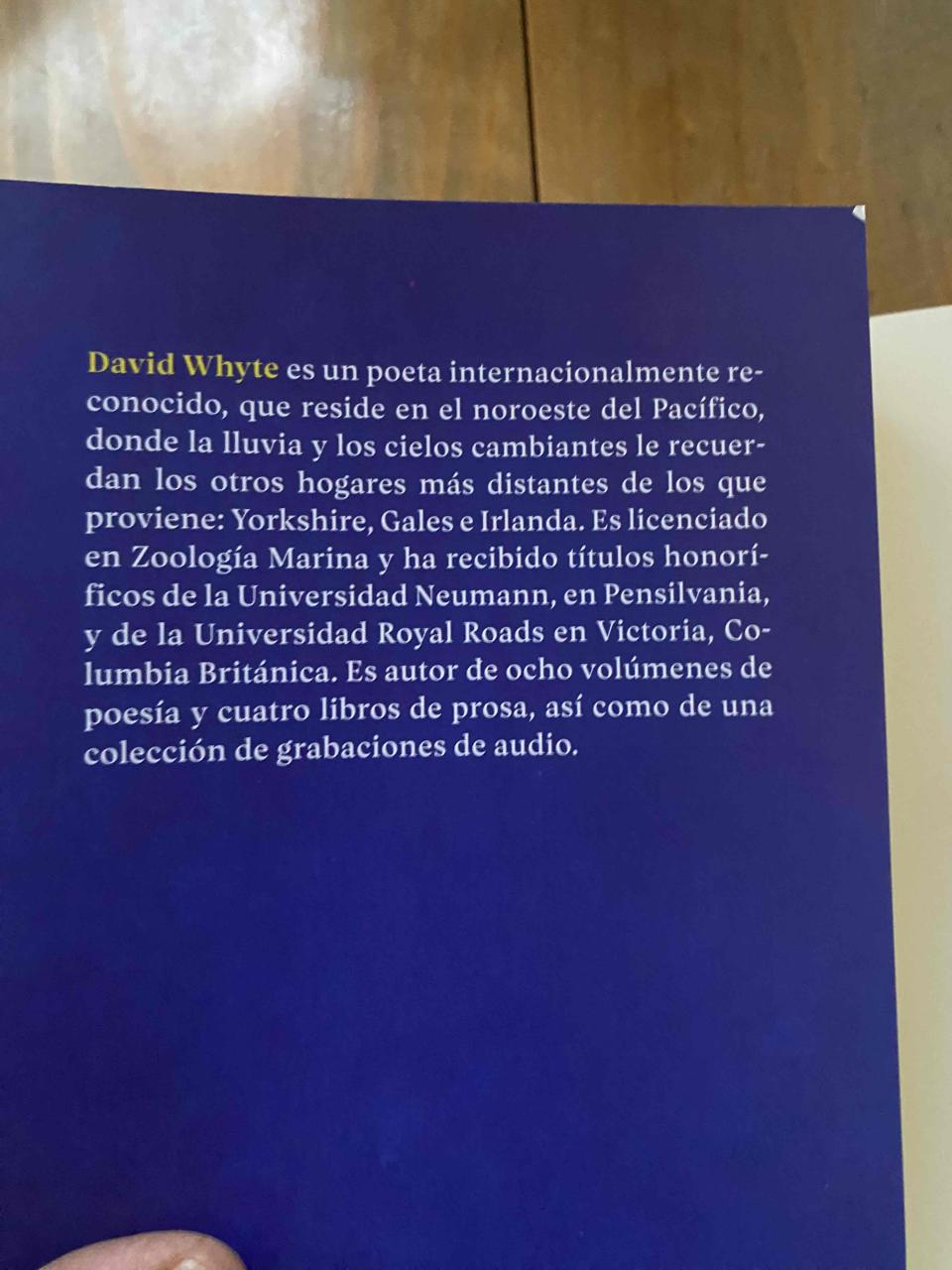 Libro 'La belleza oculta' por David Whyte - miniatura 4