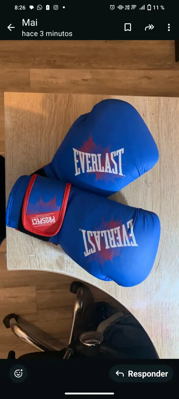 Guantes de boxeo Everlast azules 8oz SIN USO - miniatura 1