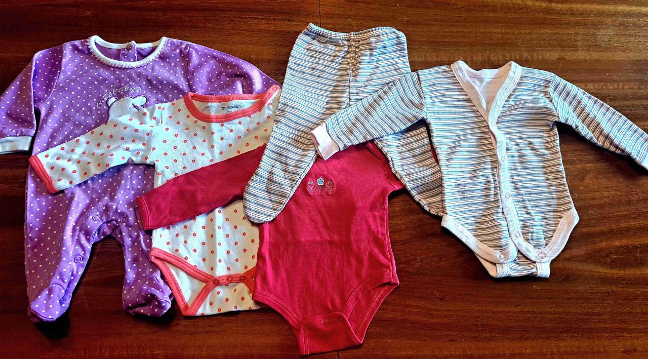 Lote de 34 Prendas para Bebé Niña RN a 3M - miniatura 2