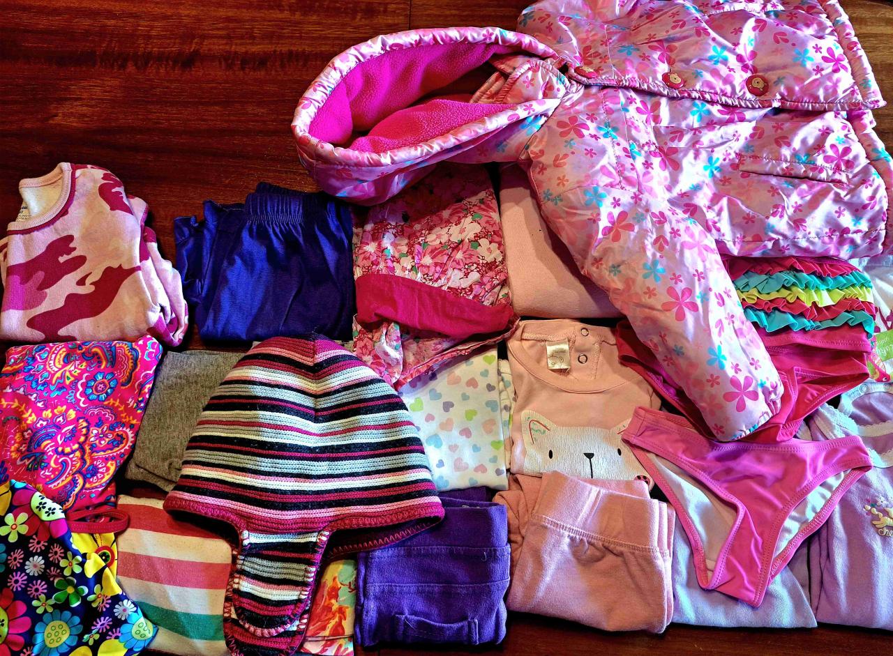 Lote 24 Prendas Niña 18-24 Meses a 3 Años - miniatura 2