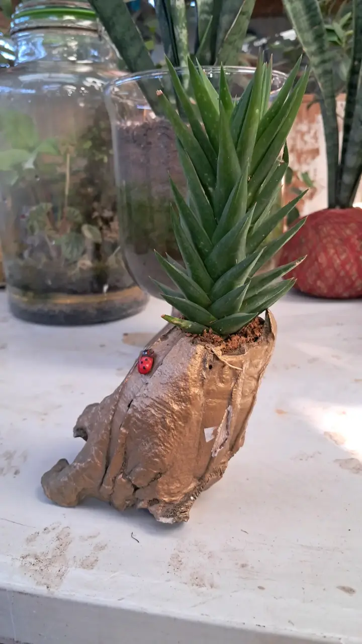 Macetero decorativo con planta - miniatura 2
