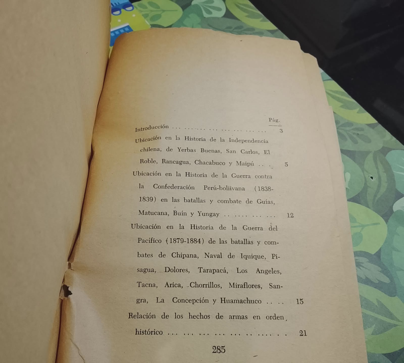 Chile Guerrero - Oscar García Guajardo - miniatura 3