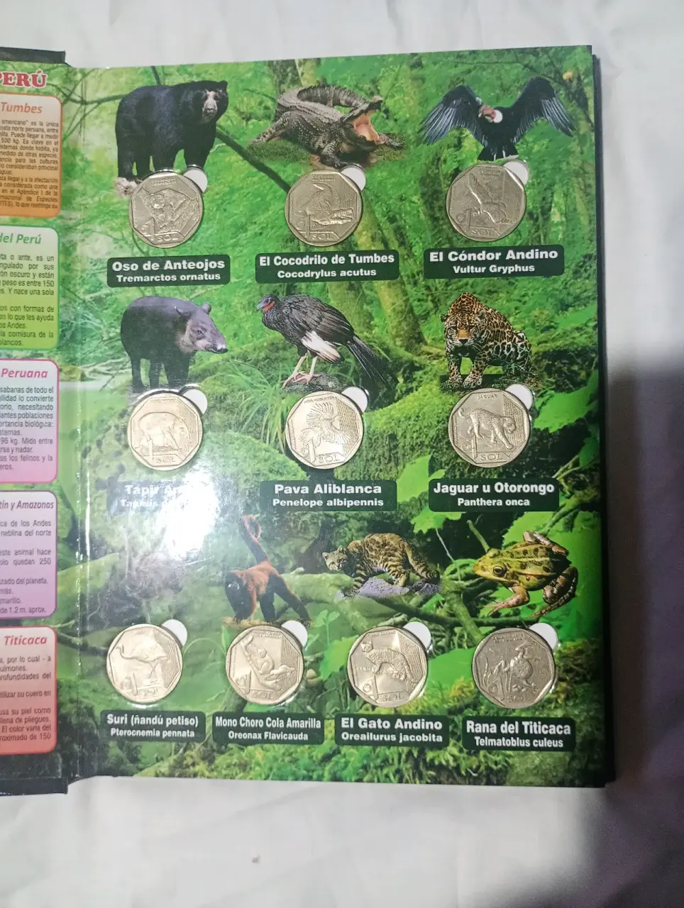 Álbum numismático Perú 2023 - miniatura 2