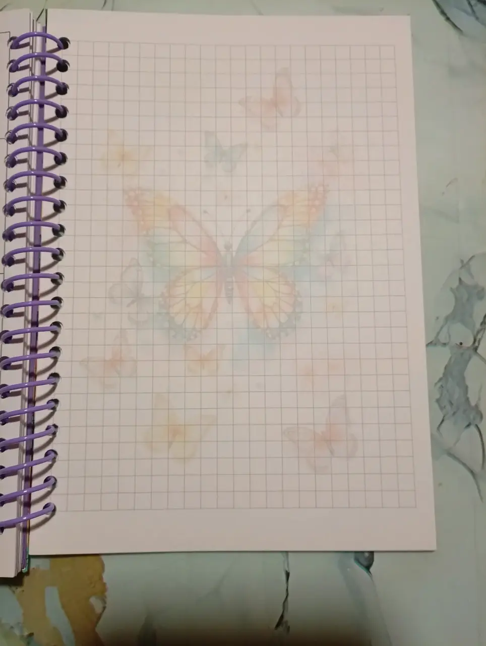 Cuaderno de mariposas colorido - miniatura 2