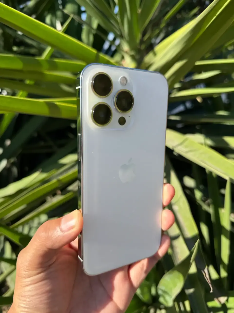 iPhone 13 Pro Blanco - miniatura 1