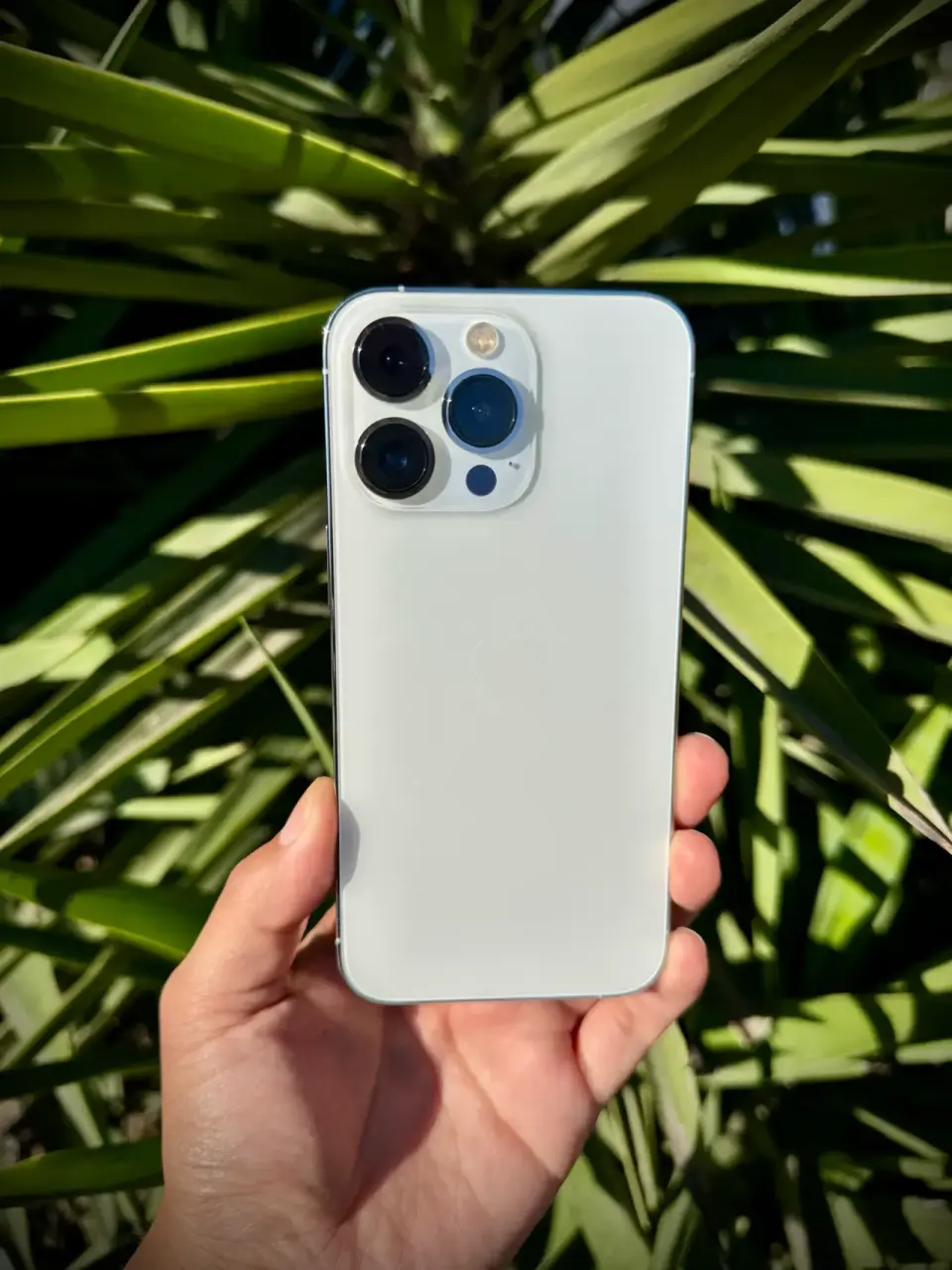 iPhone 13 Pro Blanco - miniatura 2