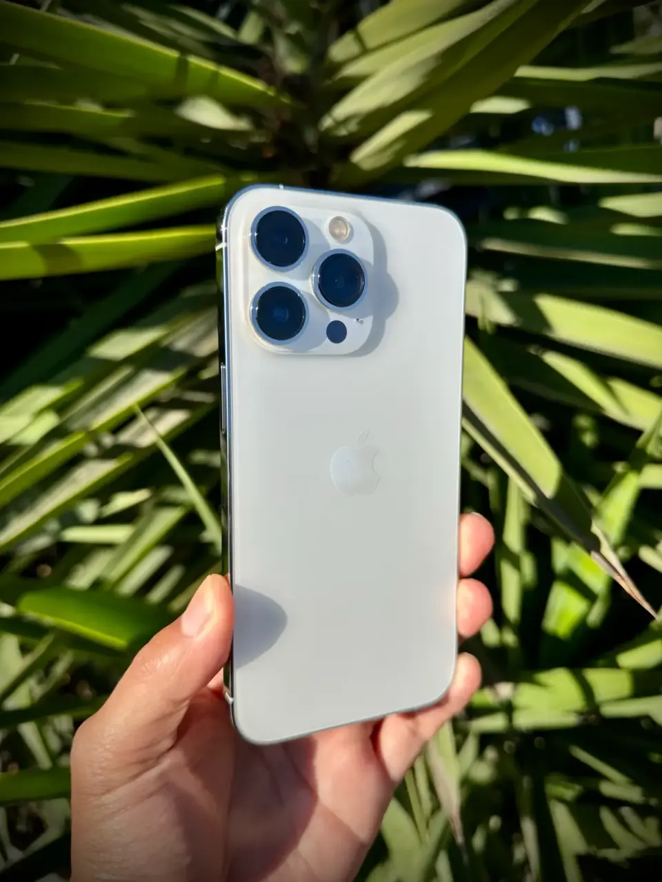 iPhone 13 Pro Blanco - miniatura 3