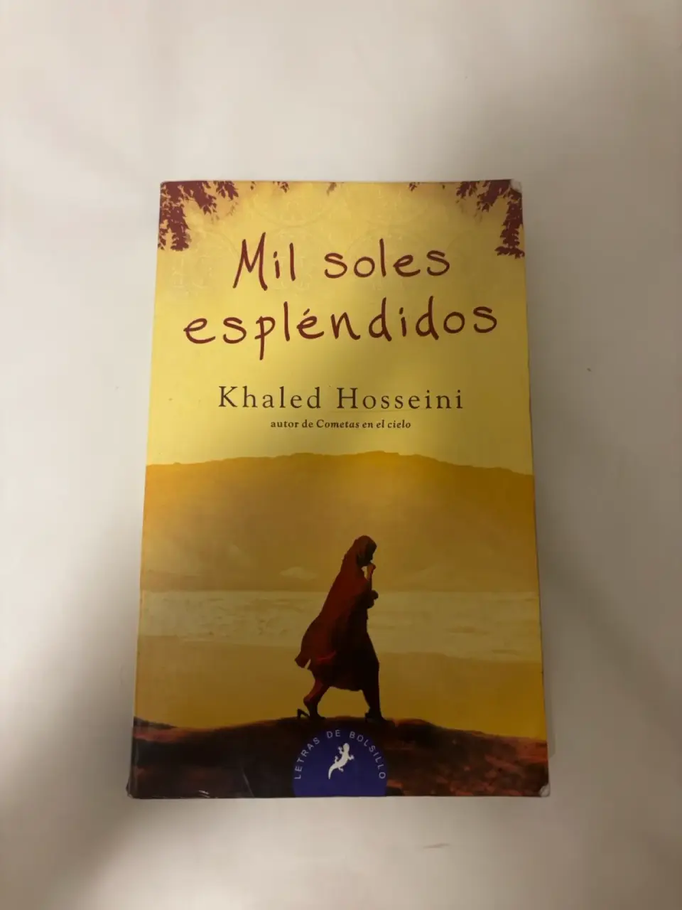 Libro Mil soles espléndidos