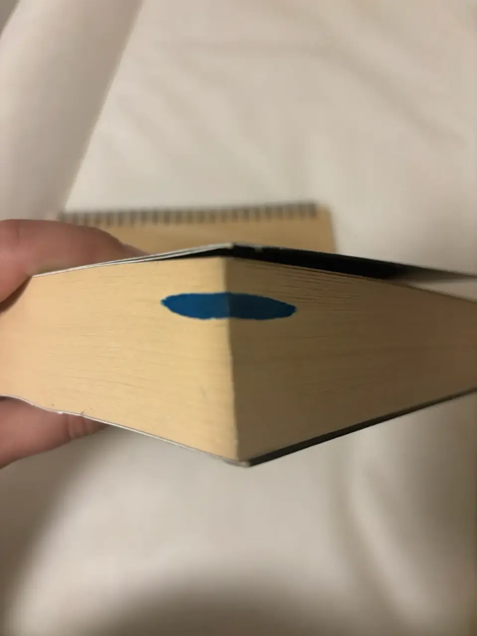 Libro 'El Profesor' - miniatura 2
