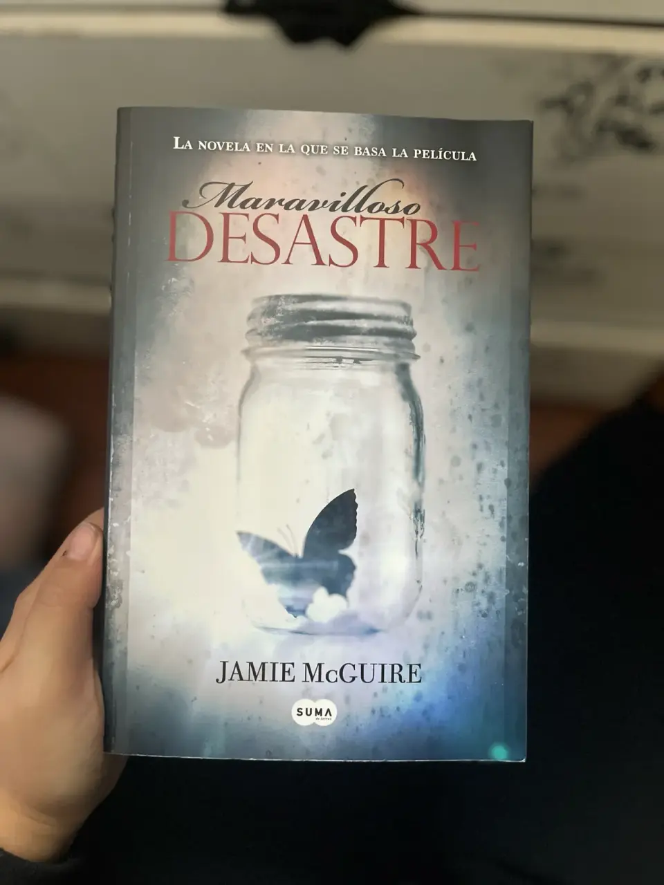 Libro 'Maravilloso Desastre'