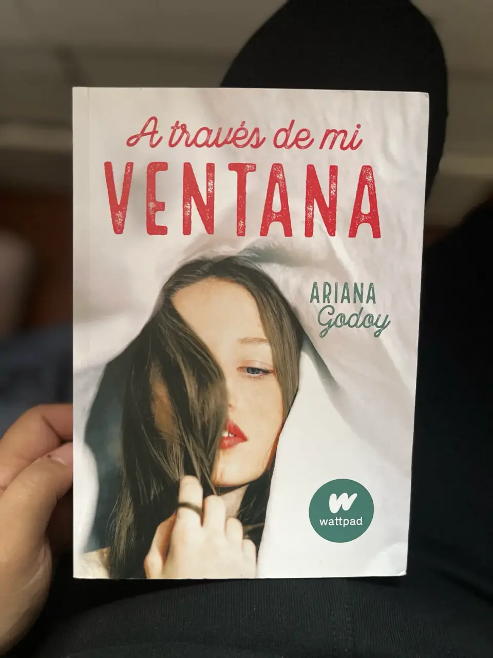 Libro 'A través de mi ventana'