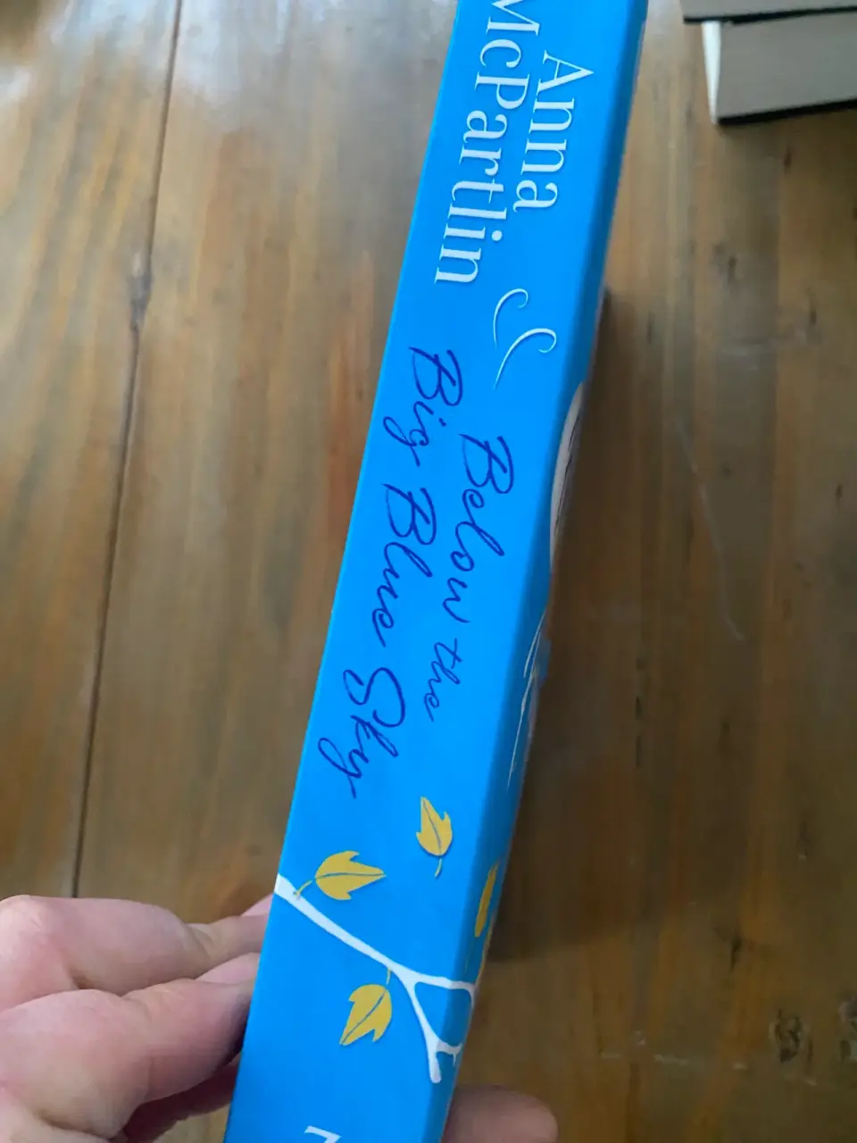 Libro 'Below the Big Blue Sky' - miniatura 2