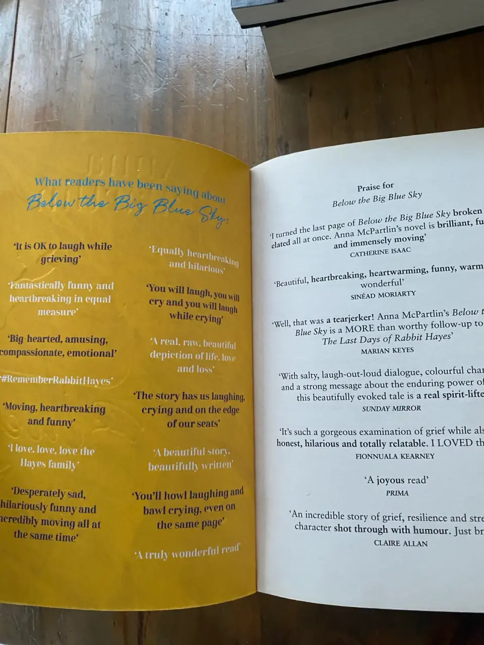 Libro 'Below the Big Blue Sky' - miniatura 3