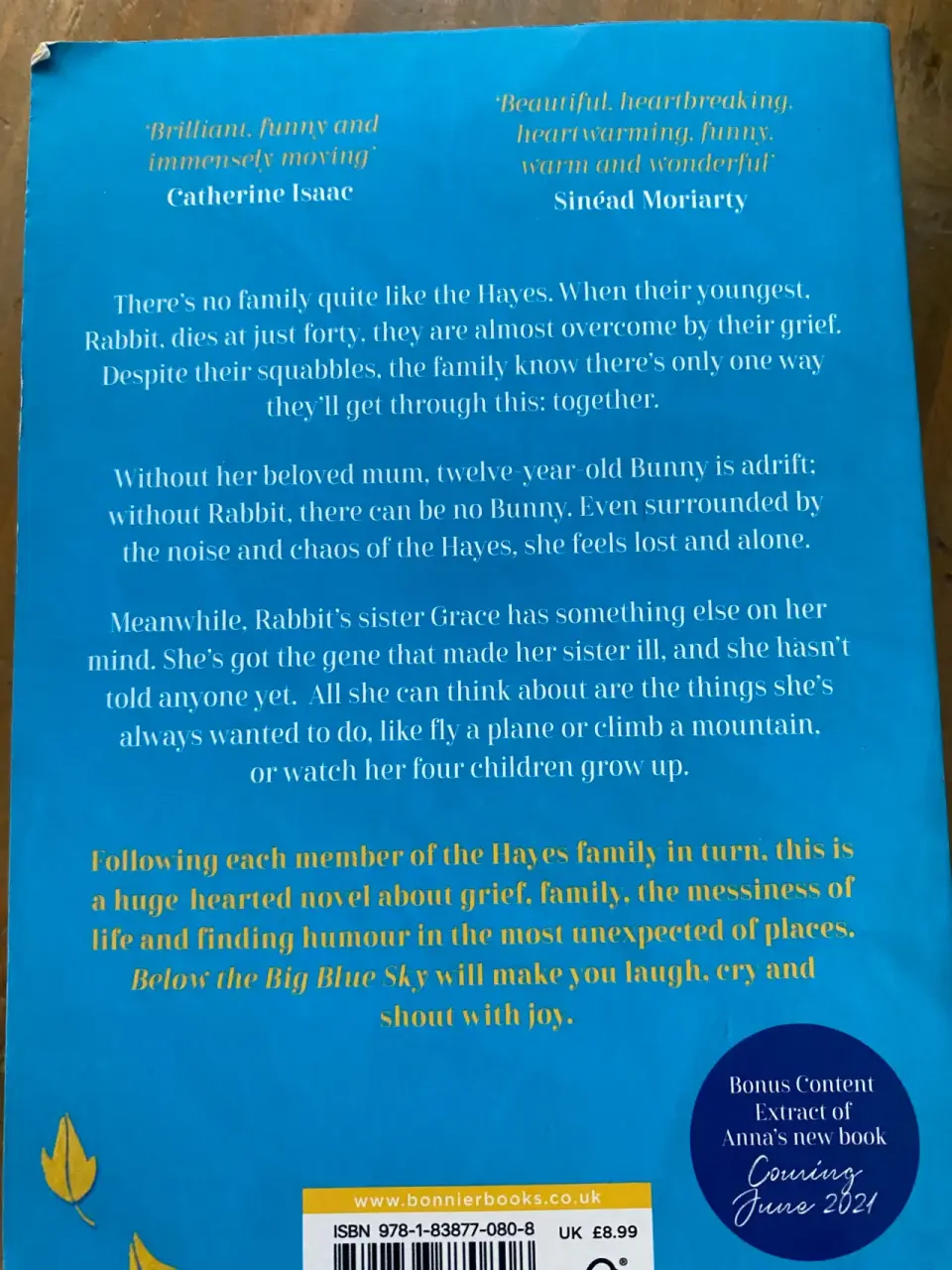 Libro 'Below the Big Blue Sky' - miniatura 4