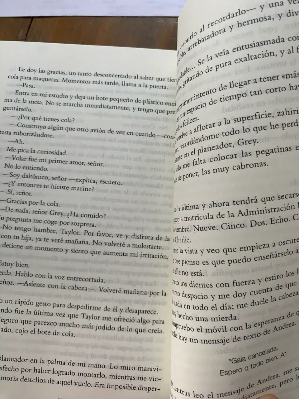 Libro Grey de E.L. James - miniatura 6