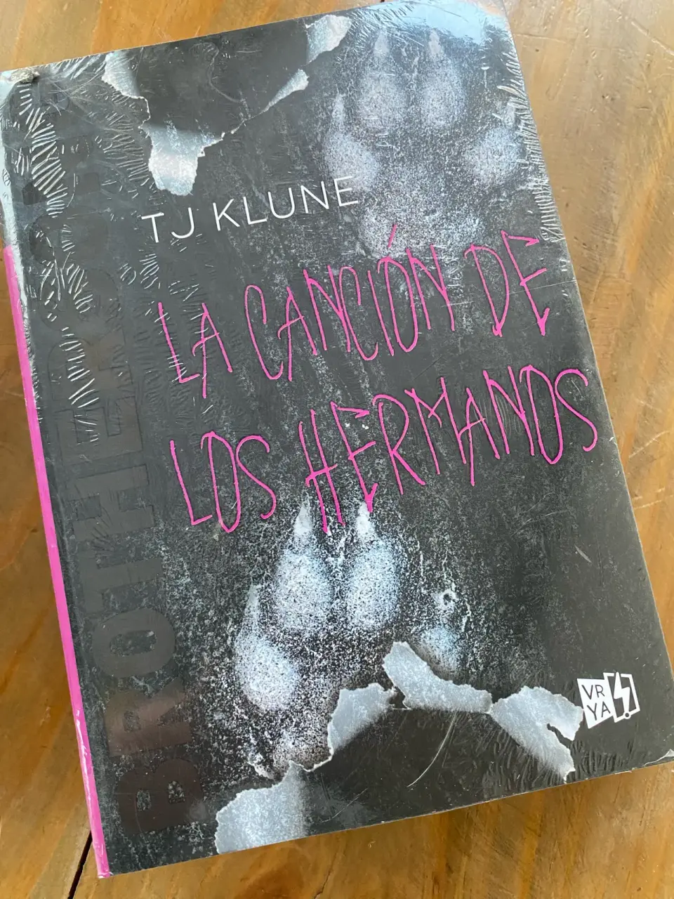 Libro 'La canción de los hermanos' - miniatura 1