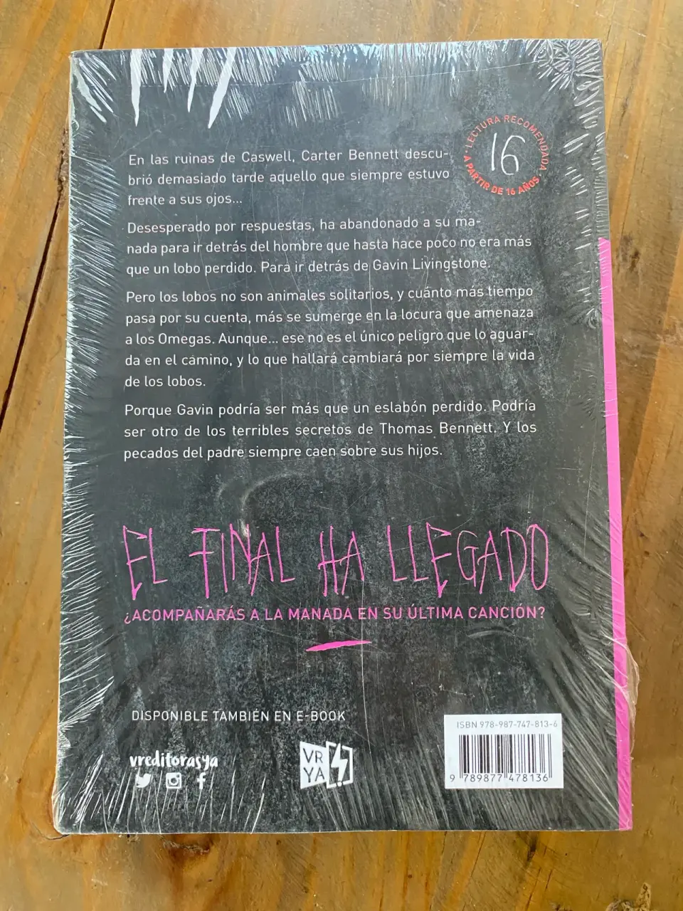 Libro 'La canción de los hermanos' - miniatura 2
