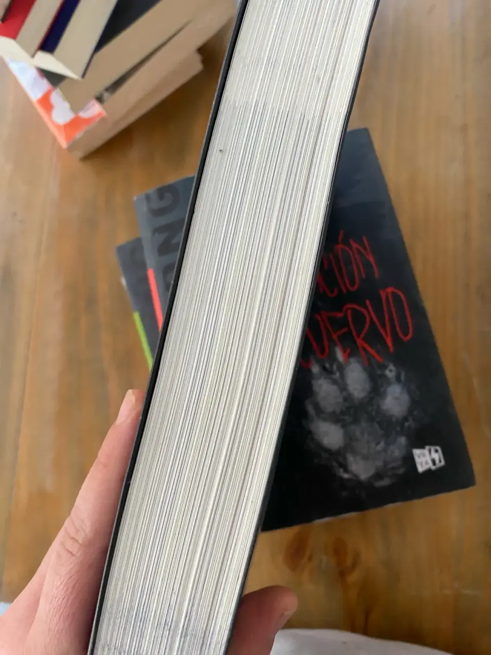 Libro 'La Canción del Lobo' por TJ Klune - miniatura 3