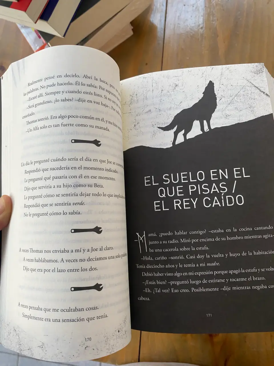 Libro 'La Canción del Lobo' por TJ Klune - miniatura 4